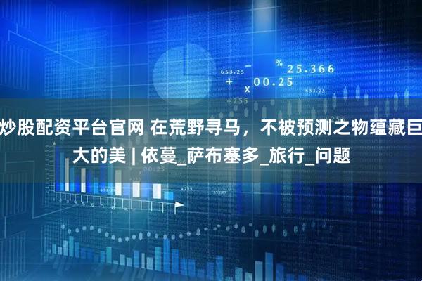 炒股配资平台官网 在荒野寻马，不被预测之物蕴藏巨大的美 | 依蔓_萨布塞多_旅行_问题