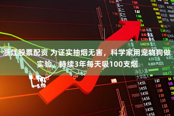 浙江股票配资 为证实抽烟无害，科学家用宠物狗做实验，持续3年每天吸100支烟